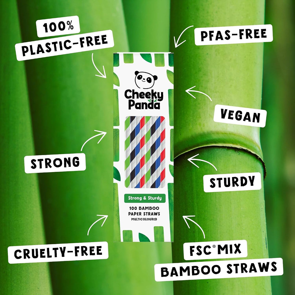 The Cheeky Panda Multicoloured Bamboo Straws | 100 Pieces | 200 mm