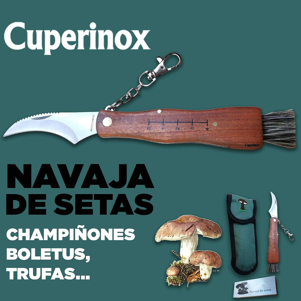 coltello per funghi, in acciaio inox, con custodia, coltello incluso, coltello micologica
