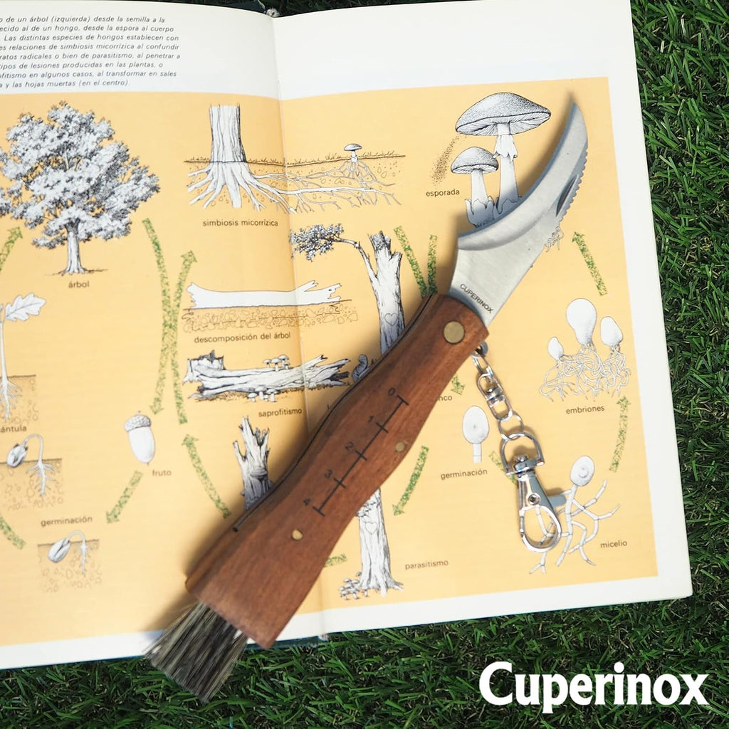 coltello per funghi, in acciaio inox, con custodia, coltello incluso, coltello micologica